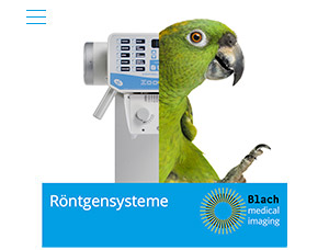 Blach Website